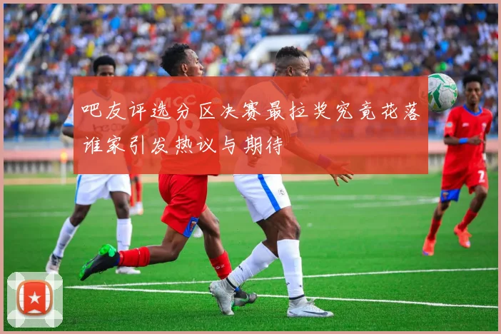 吧友评选分区决赛最拉奖究竟花落谁家引发热议与期待