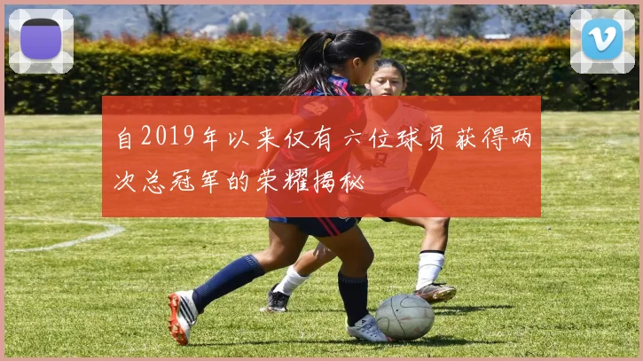 自2019年以来仅有六位球员获得两次总冠军的荣耀揭秘